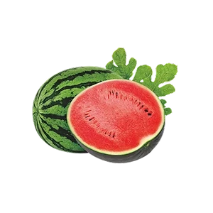 Pastèque